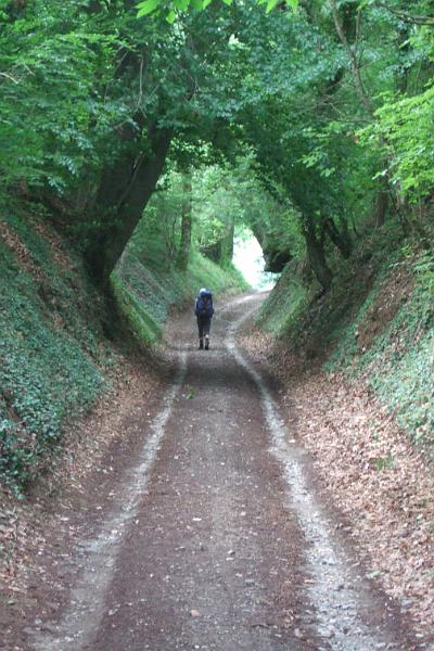 2011-05- (534).JPG - Ein Hohlweg